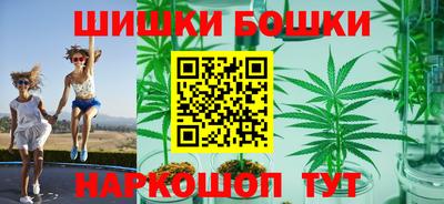 молекула духа Будённовск