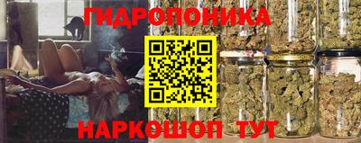 молекула духа Будённовск