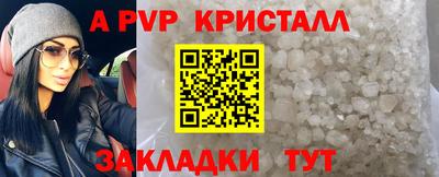 молекула духа Будённовск