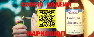 молекула духа Будённовск