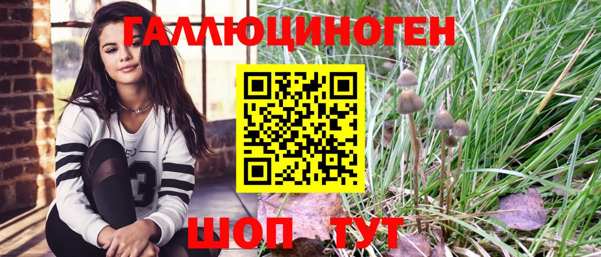 Рославль  Псилоцибиновые грибы Cubensis  Вход с VPN 